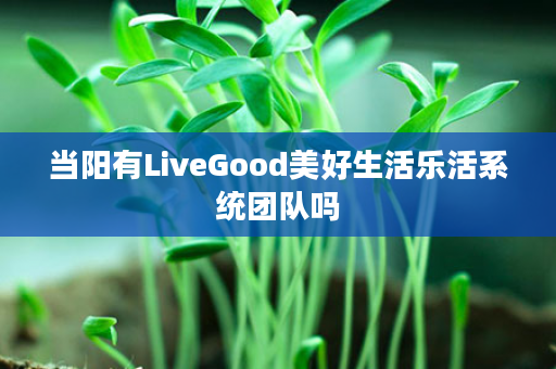 当阳有LiveGood美好生活乐活系统团队吗