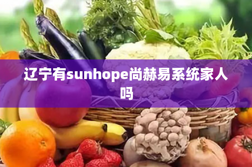 辽宁有sunhope尚赫易系统家人吗