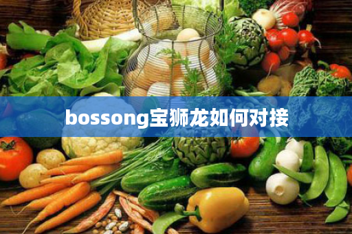 bossong宝狮龙如何对接