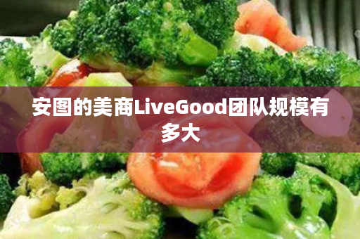 安图的美商LiveGood团队规模有多大