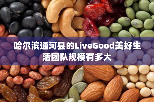 哈尔滨通河县的LiveGood美好生活团队规模有多大