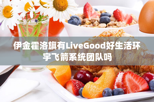 伊金霍洛旗有LiveGood好生活环宇飞箭系统团队吗