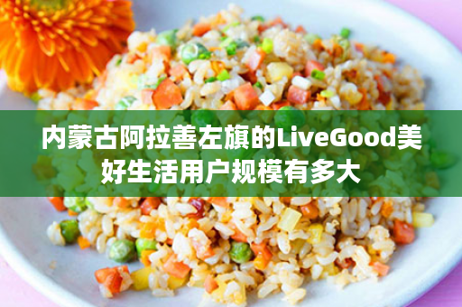 内蒙古阿拉善左旗的LiveGood美好生活用户规模有多大