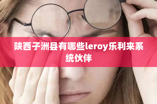 陕西子洲县有哪些leroy乐利来系统伙伴