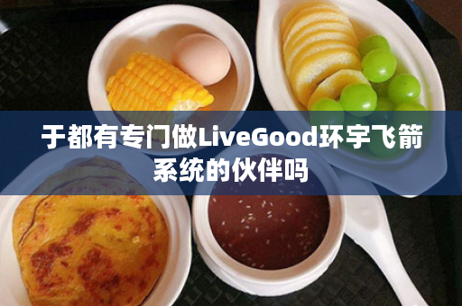 于都有专门做LiveGood环宇飞箭系统的伙伴吗