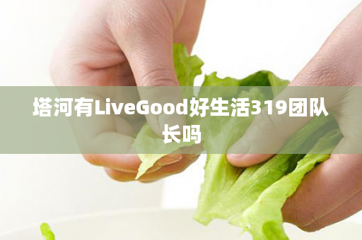 塔河有LiveGood好生活319团队长吗