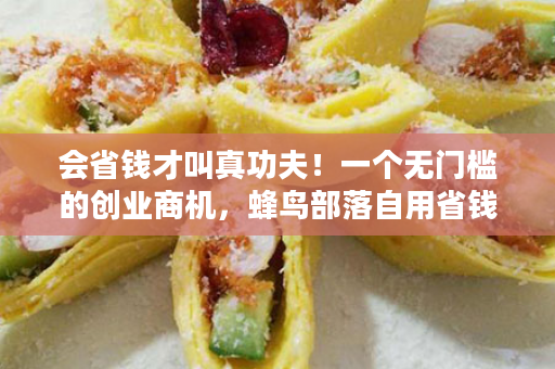会省钱才叫真功夫！一个无门槛的创业商机，蜂鸟部落自用省钱帮你实现！