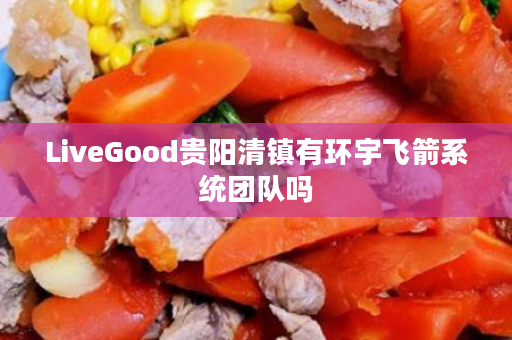 LiveGood贵阳清镇有环宇飞箭系统团队吗