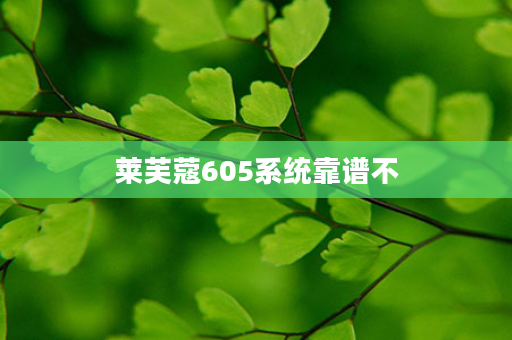 莱芙蔻605系统靠谱不