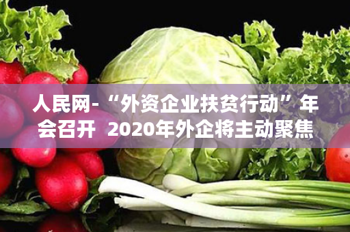 人民网-“外资企业扶贫行动”年会召开  2020年外企将主动聚焦精准脱贫