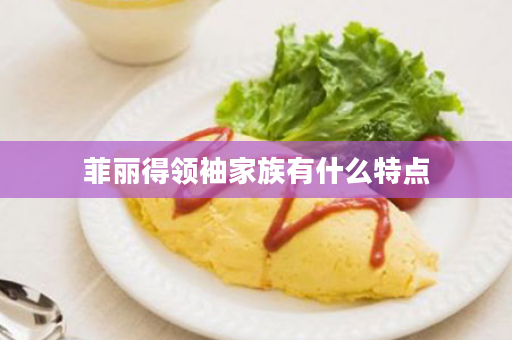 菲丽得领袖家族有什么特点