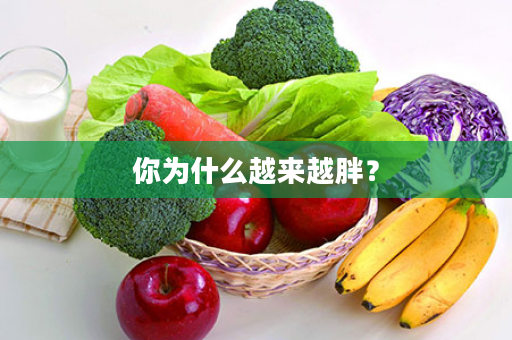 你为什么越来越胖？