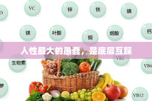 人性最大的愚蠢，是底层互踩