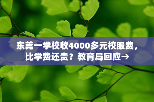 东莞一学校收4000多元校服费，比学费还贵？教育局回应→