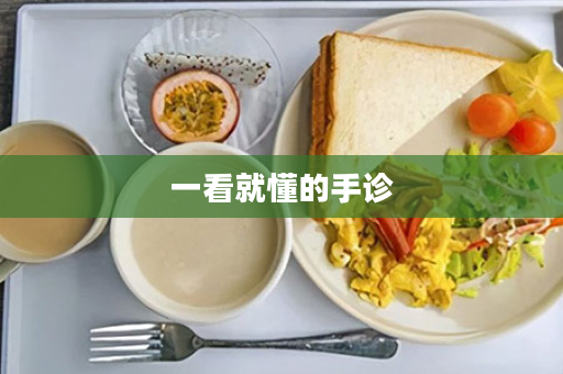 一看就懂的手诊