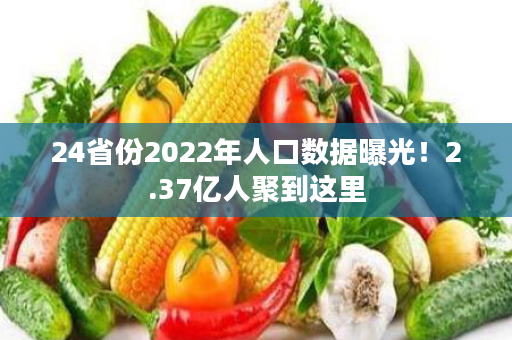 24省份2022年人口数据曝光！2.37亿人聚到这里