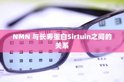 NMN 与长寿蛋白Sirtuin之间的关系