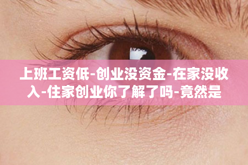 上班工资低-创业没资金-在家没收入-住家创业你了解了吗-竟然是这样的...